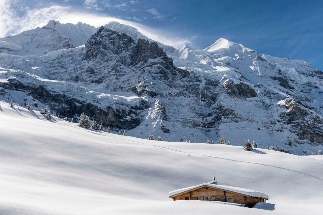 O 68 Haus Bel Air Apartman Wengen Kültér fotó